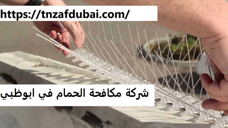 شركة مكافحة الحمام في ابوظبي