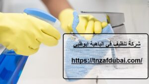 شركة تنظيف في الباهية ابوظبي |0501850061| تنظيف فلل