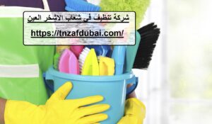 شركة تنظيف في شعاب الاشخر العين |0501850061| تنظيف فلل