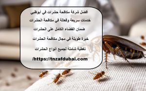أفضل شركة مكافحة حشرات في أبوظبي