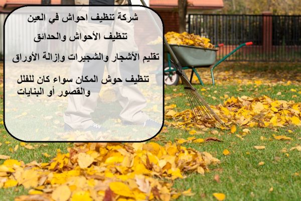 شركة تنظيف احواش في العين