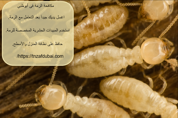مكافحة الرمة فى أبوظبي