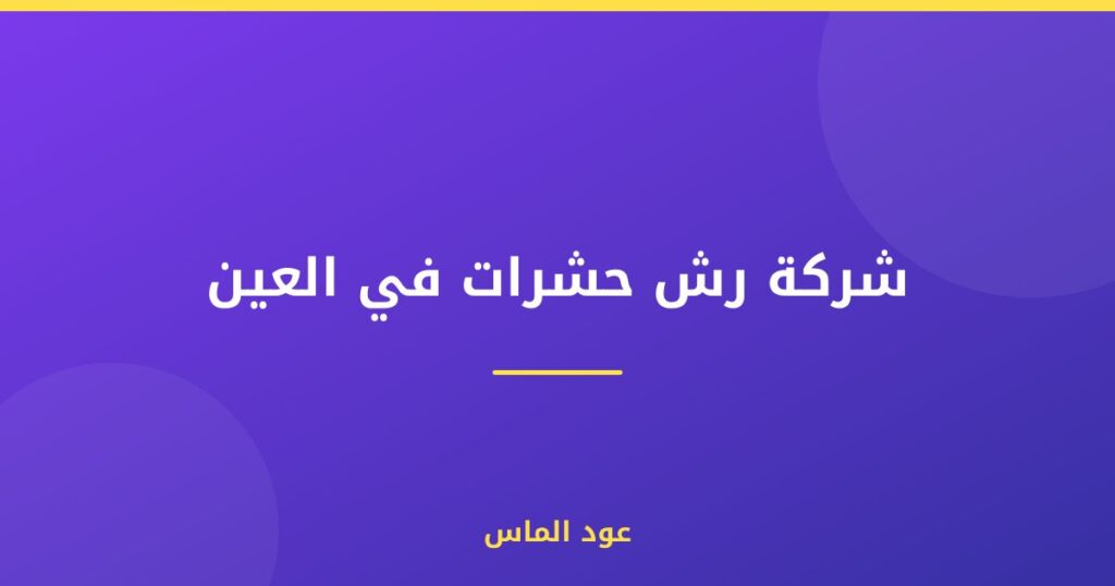 شركة رش حشرات في العين